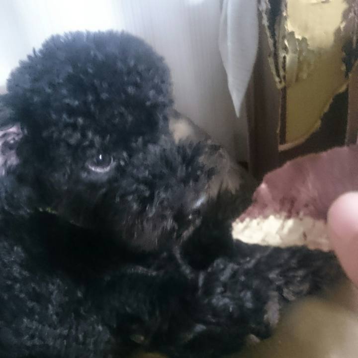 18634435 203c 4684 9656 f810dc7aed7c