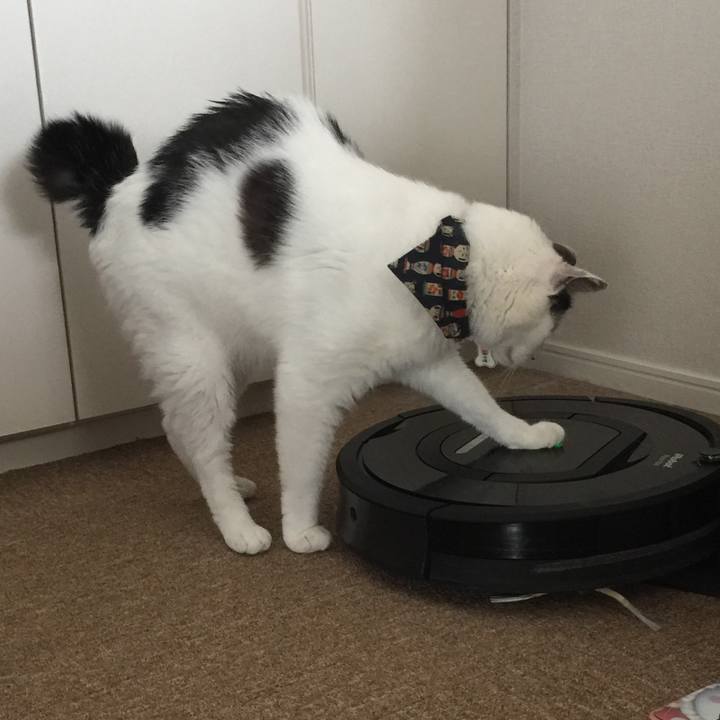 18637733 42e6 40b4 a4f8 ed51ff4e6705