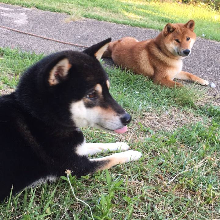 186393da 802f 4865 99ec 59515eede7ee