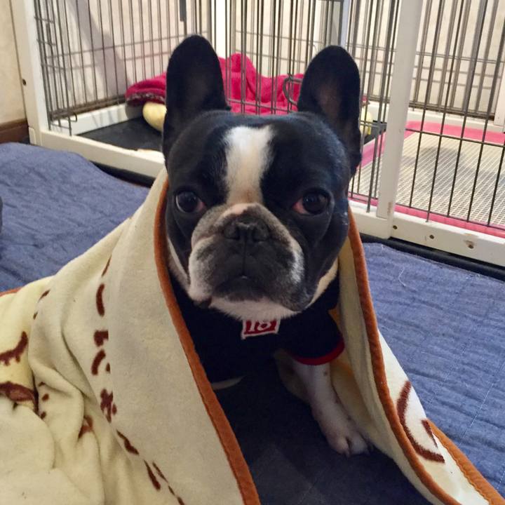 1863d765 6281 410e 9222 31404b1b6eef