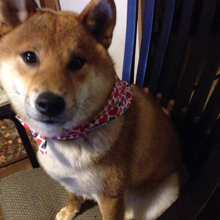 18644447 50af 4b22 9e2d 6a3246e78f00