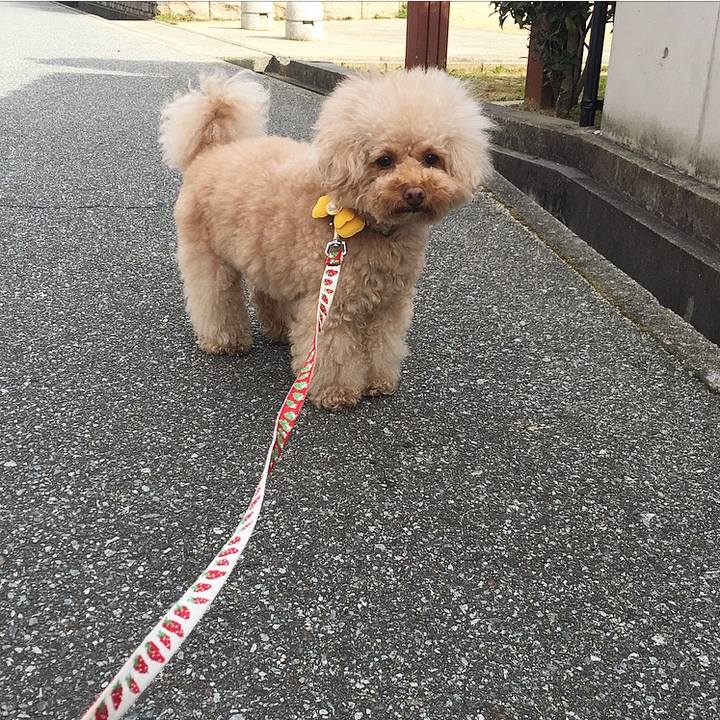 1864770e 7ec0 444e bf69 b1cdadf68a0b