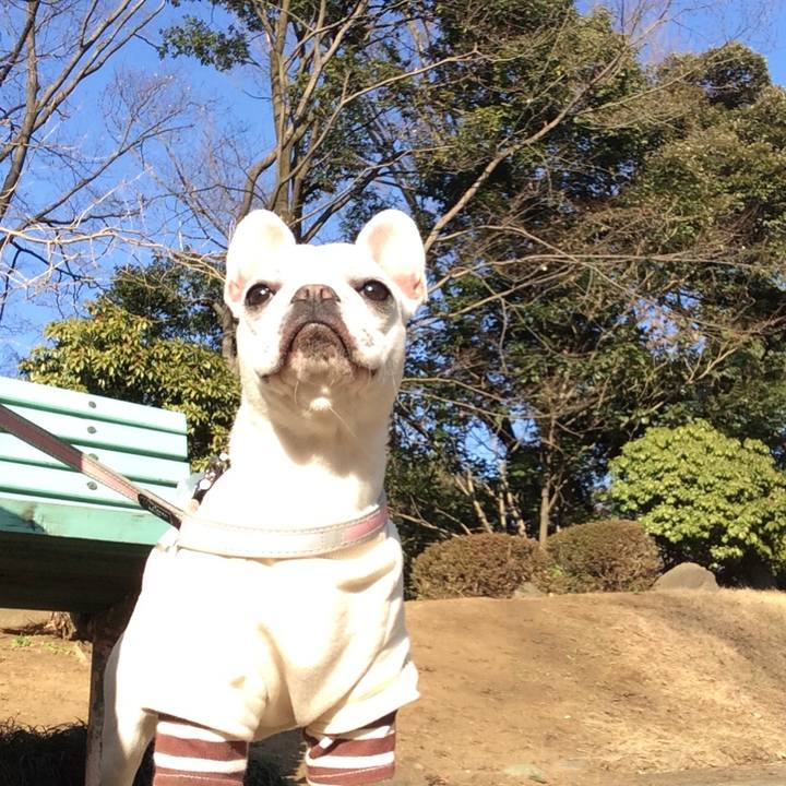 1865189f 75de 4e89 8117 45ddfb2263a1