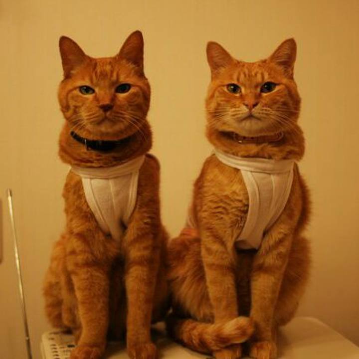 1865e673 8231 4458 aeed 84f1db52a3ed