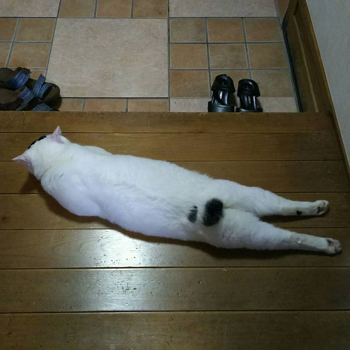 186628fe ca74 45e7 a823 43ac2a731cec