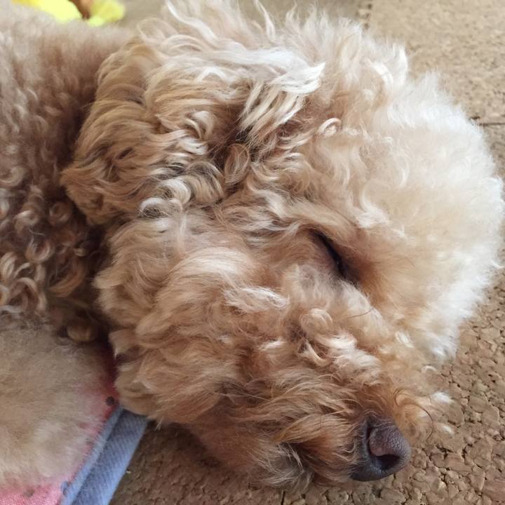 18664f00 3bfc 4b5f 9355 e21d183822df