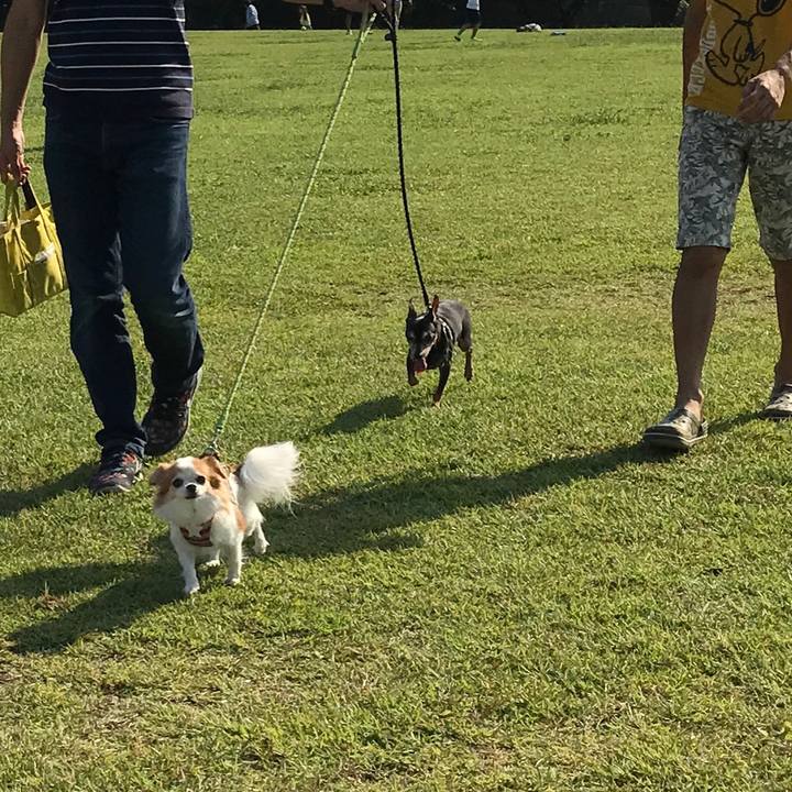 1866f84f 319e 48f1 be23 3271221d4200