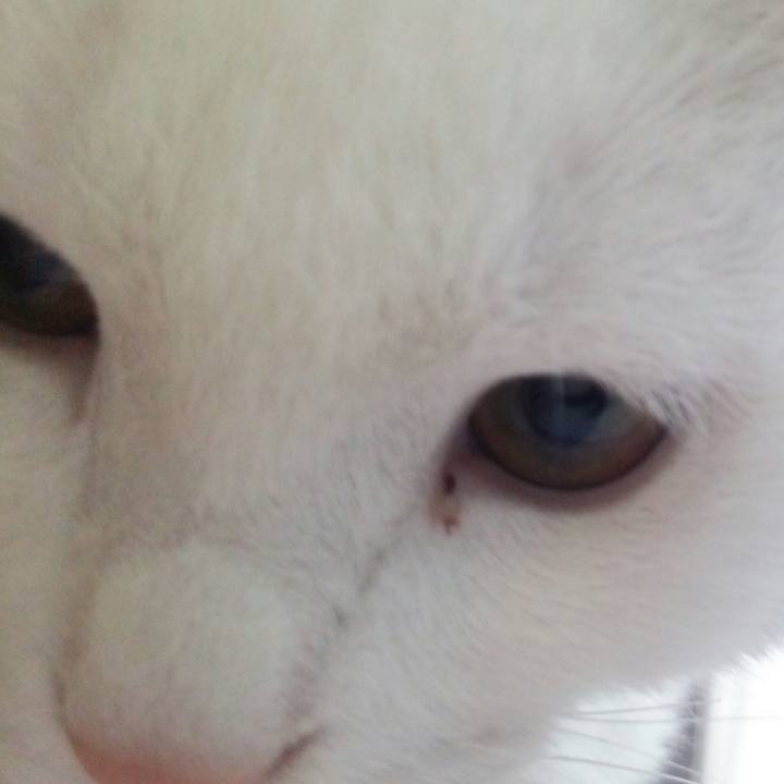 1867b5ad b04b 4b5c ab68 577276821b5d