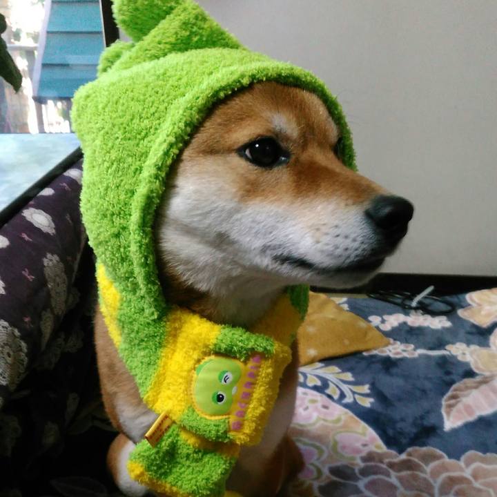 1868c7ee 0720 43b0 b31b e80037935d8a