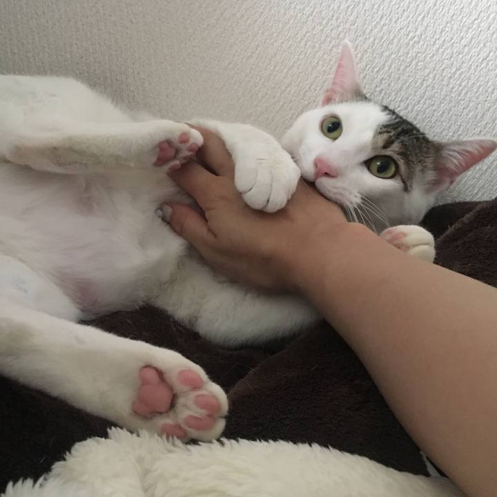 186a1651 21ca 4c97 b996 67bc8f3ab6e6