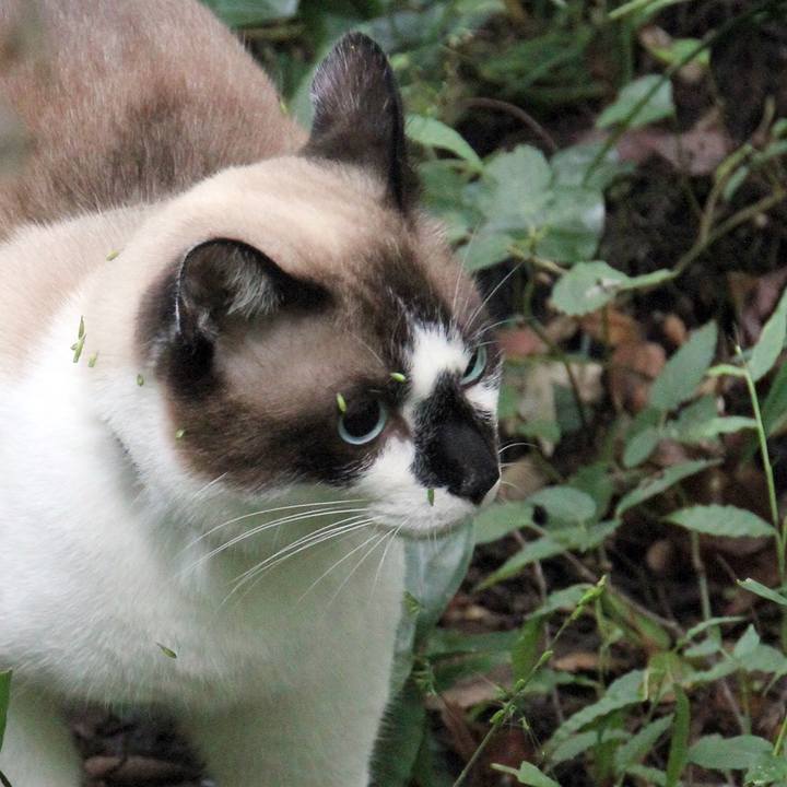 186b0a15 5cc5 459c b7bd 507cb2807585