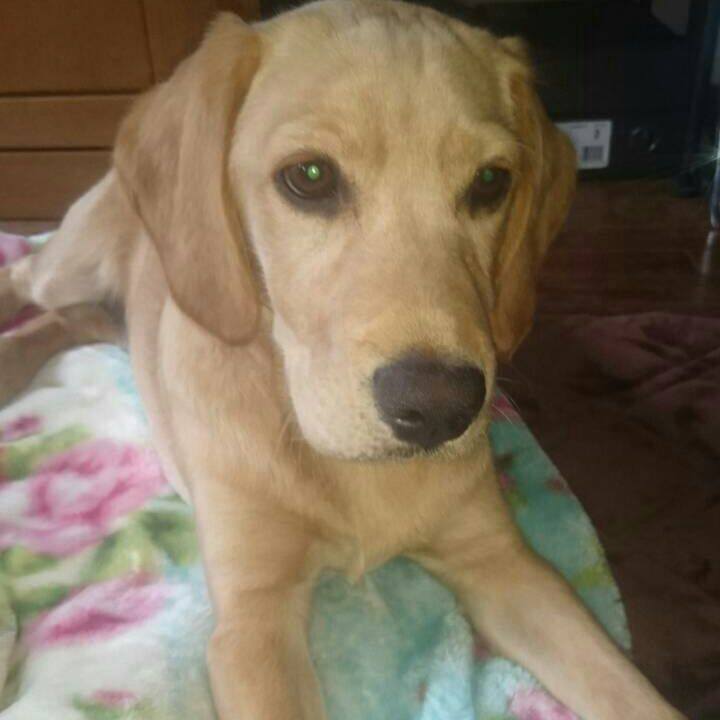 186b7359 234b 4369 984f 50346faf7e2d