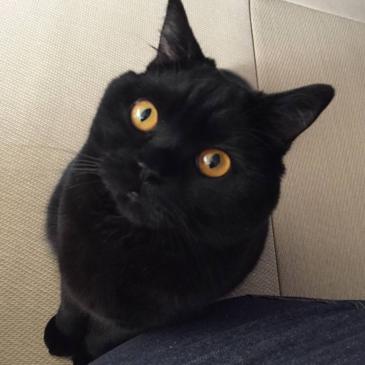 186be1a9 a544 4002 8d50 ed342b2dc97a