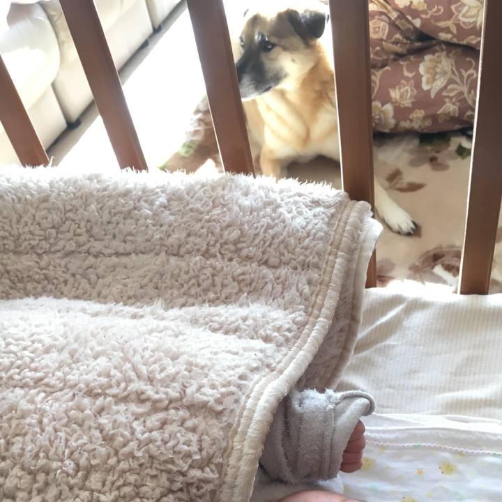 186c9bc1 6458 482a a893 e56b07081ed3