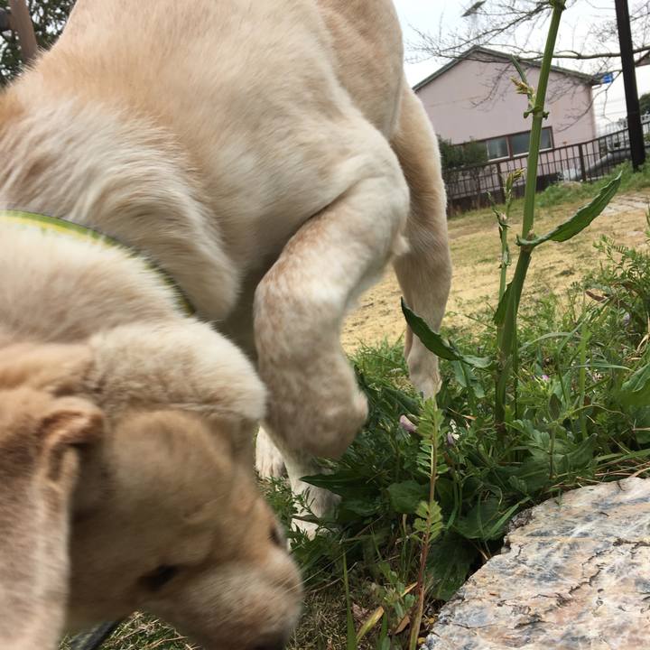 186c9dee f870 487a 89a9 bffcb25fd6b9