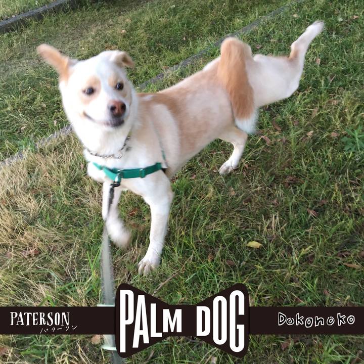 186d7602 fd46 4805 a1ed 5905a8c4bc43