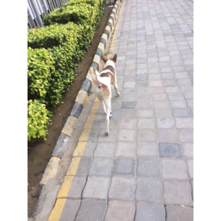 186d86b6 4207 4416 a9db fe4e792ebc6e