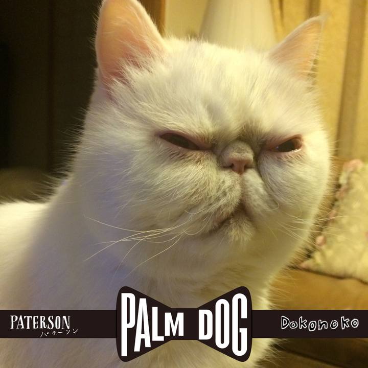 186de378 88c6 4413 bd6d bca8490f3e8e