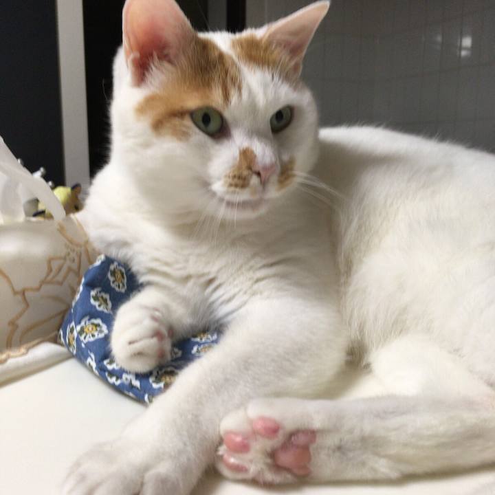 186f4660 040c 410a 8967 9c2d111e0ba2