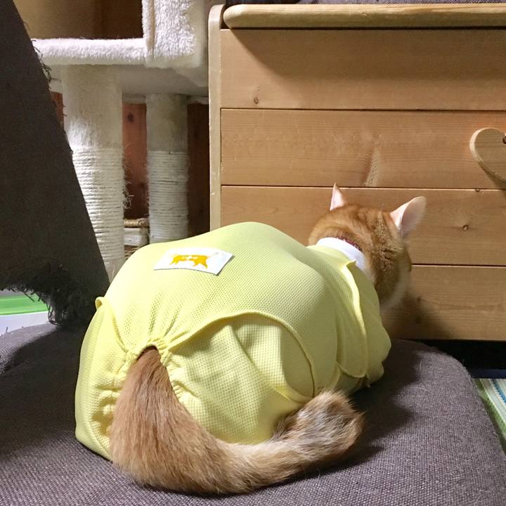 186faf79 2fc4 4eaa a12c 7bc29ec692e1