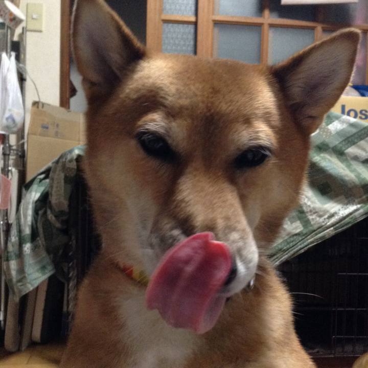 187063ea 9782 4b2d 87ee 5b462593f61b