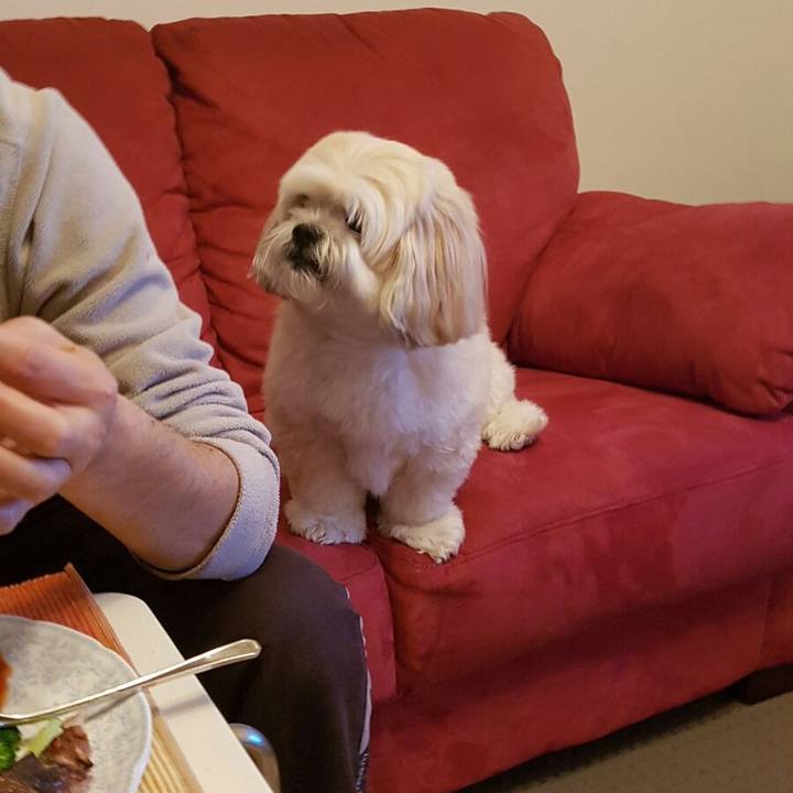 18706b5e 4041 4c80 b19e fe73057d4ddc