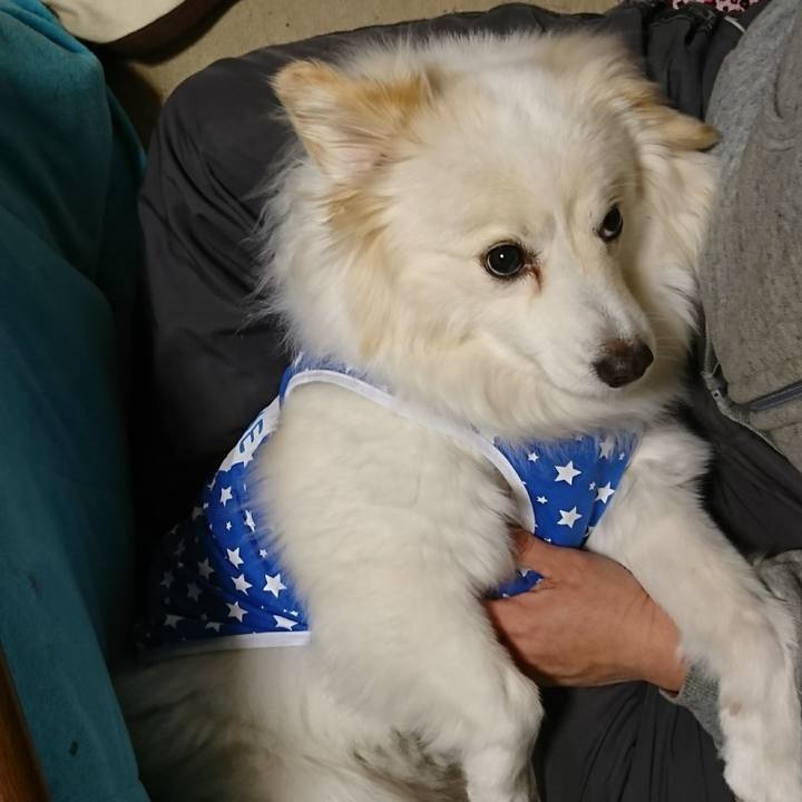 1871c799 6ad4 4f65 af08 a997f7dcdbed