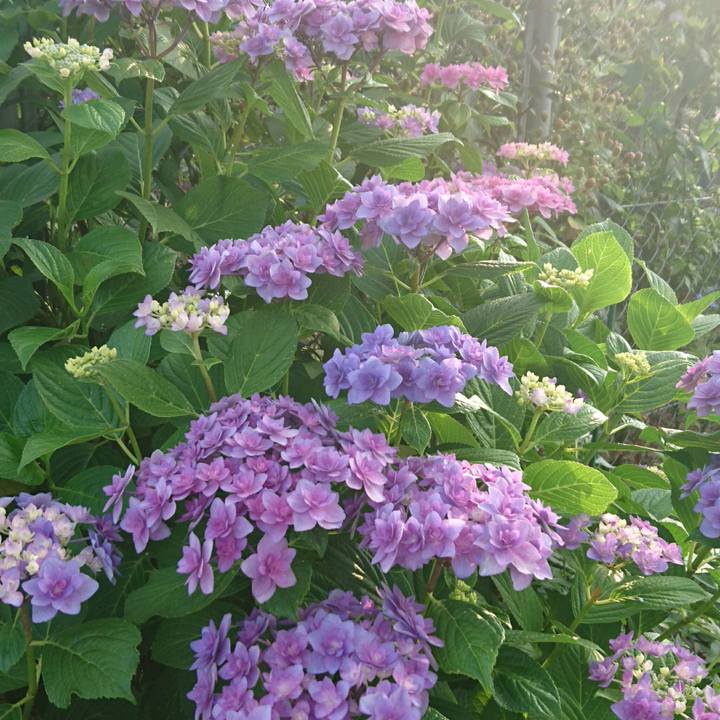 1872451e 2b88 4984 aa7c dfbd0d7639c7