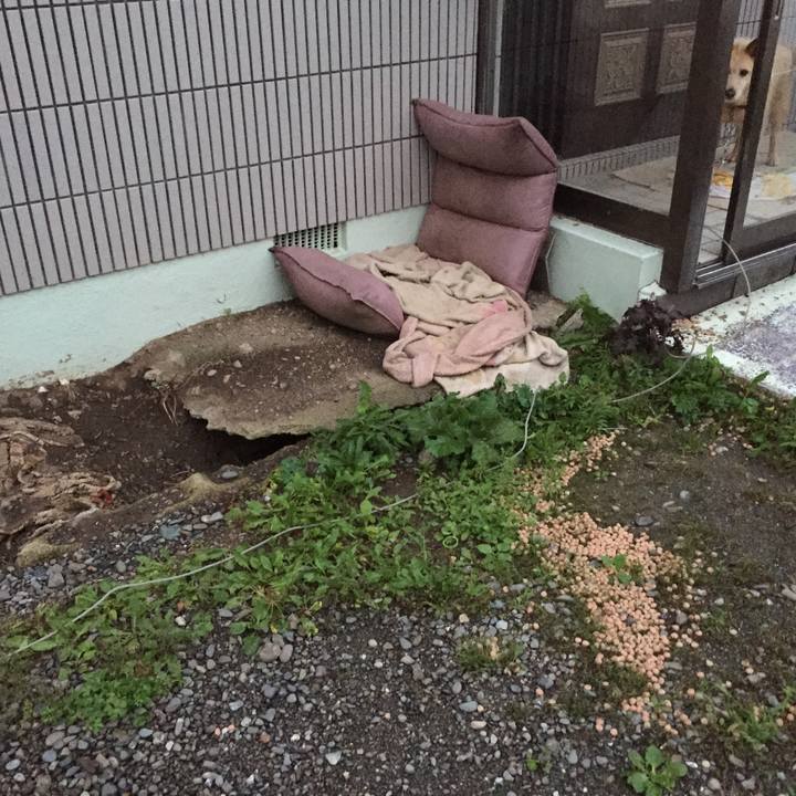 18726f6e 149f 4e13 b3d7 45796c29c23f