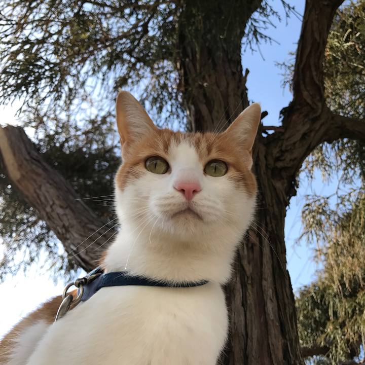 187281b0 bd78 429c 9135 463d339613b7