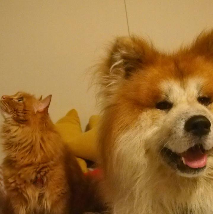 1872cc14 8f3e 486a addd bc85cf6eeeb3