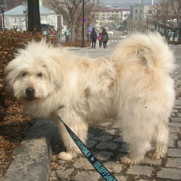 1872d1e8 83cb 4961 811a 46eab5ebb15c