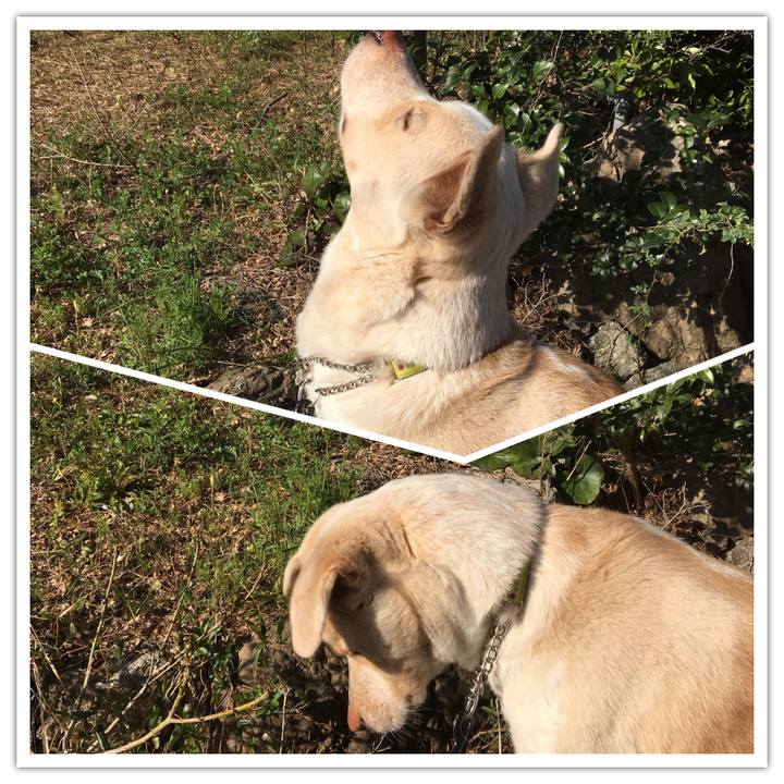 1872fbcb d8ec 4073 a3b1 e1f7d2fa1998