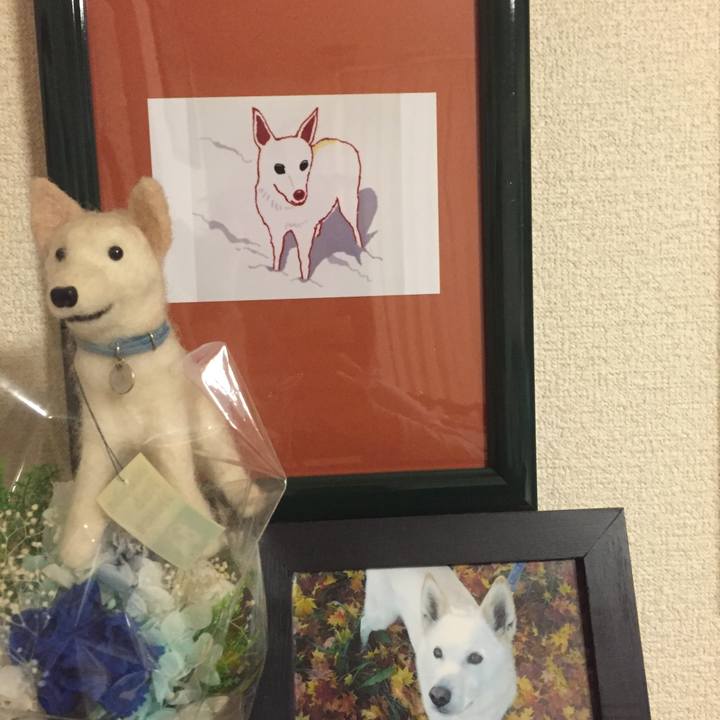 18731a0b d08c 45bb bf1c 2aafdbfa2eef