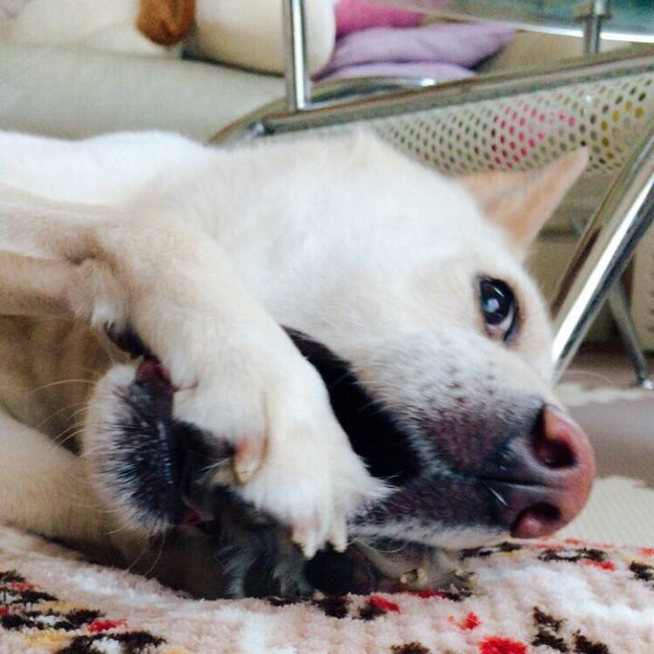 18734396 bdcf 4dd4 9638 bf1c48af4235