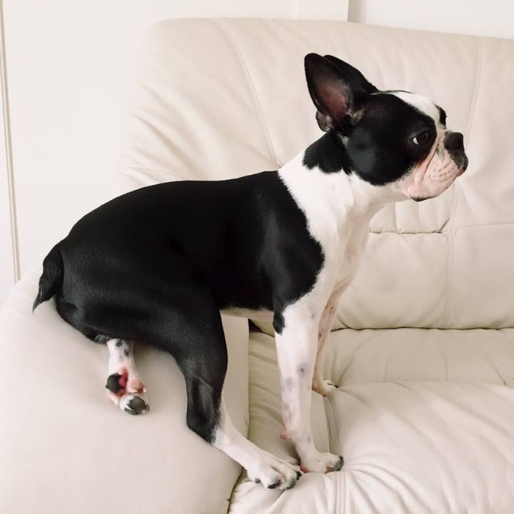 1873932c a096 4e0c 9775 f95e24389fea