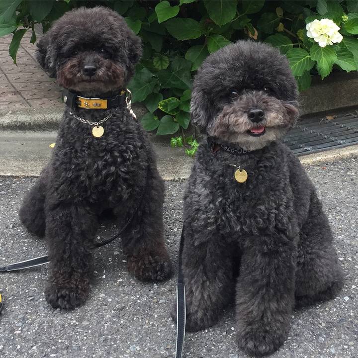 1874fdce f27d 4414 b87e 408a71c53e39