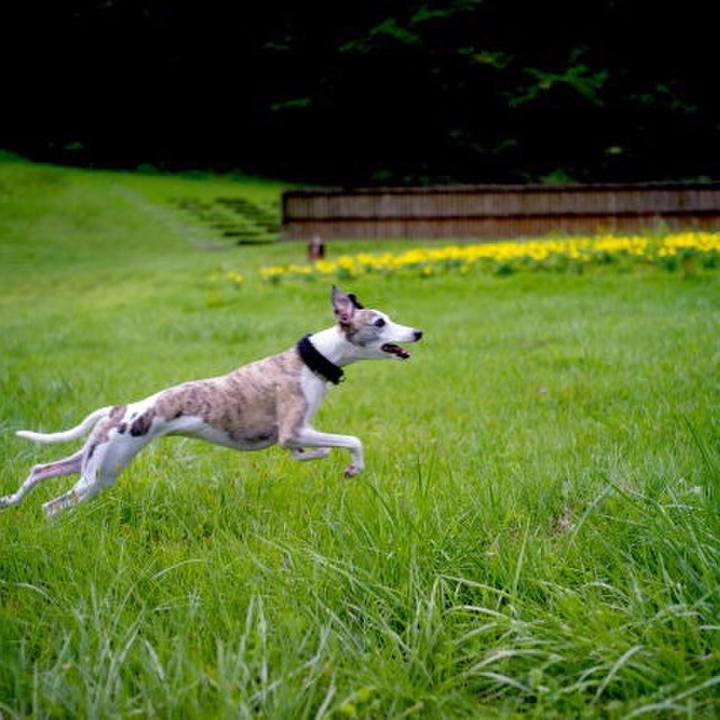 18752143 1eda 4c14 b6b3 96b35abb6180