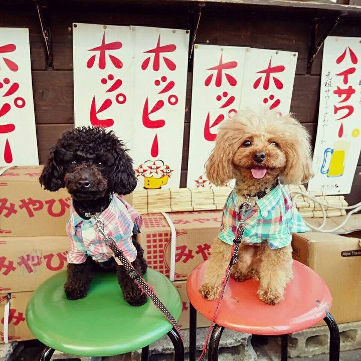 187551f3 67fb 4451 9a43 dffbdd1cbbe7