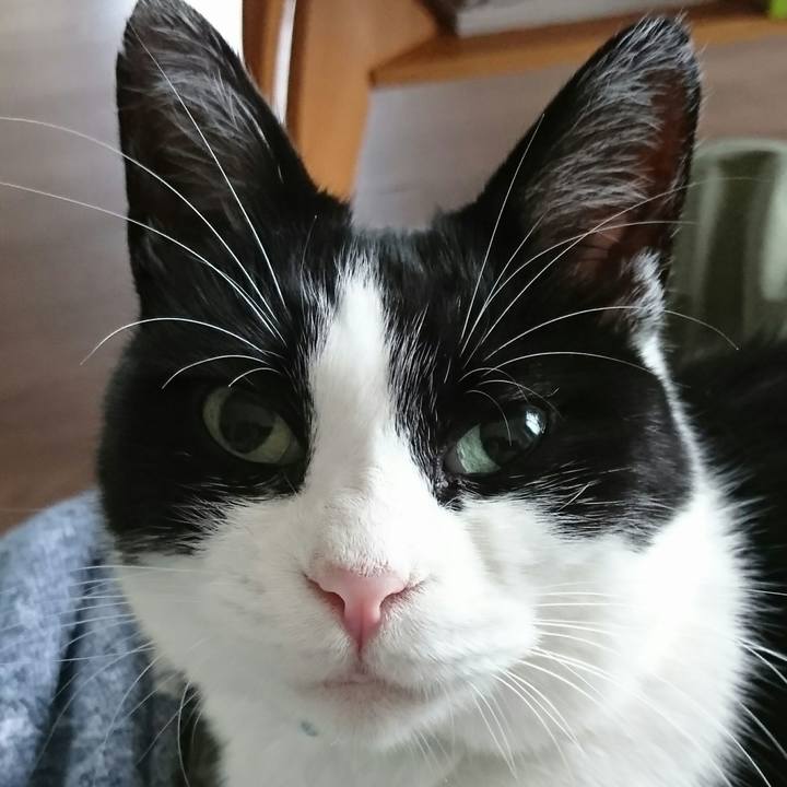 1875ab2d 8e80 4fa1 9d2b a5fee848873e