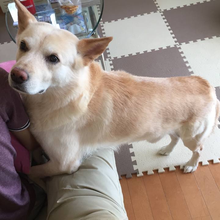 18761018 4ba9 42b1 90b2 8562dbd5f29c