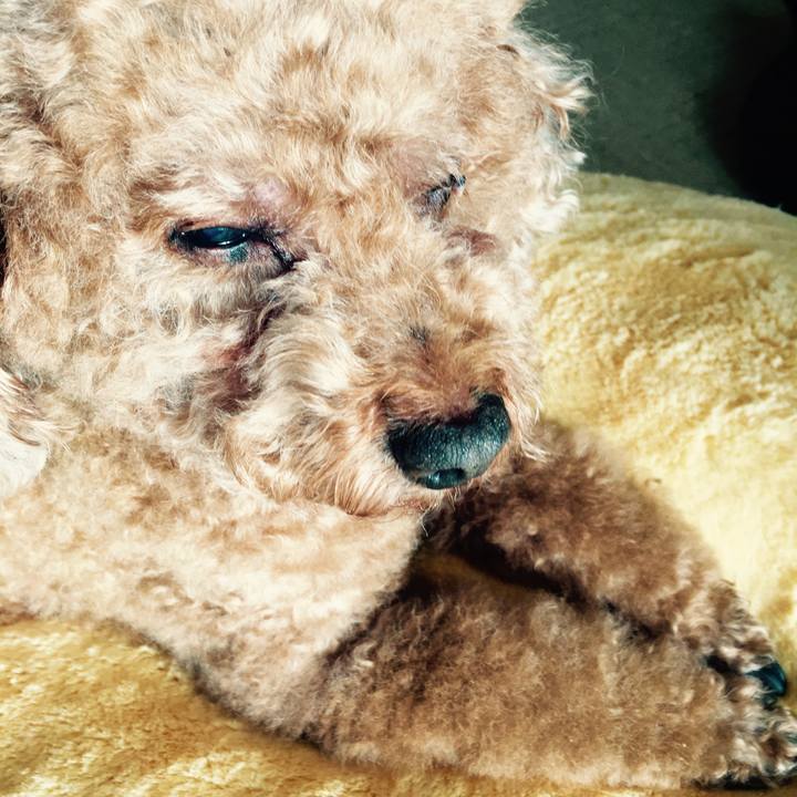 1876105d 3c73 408a 8365 7ecd1ec84e3c