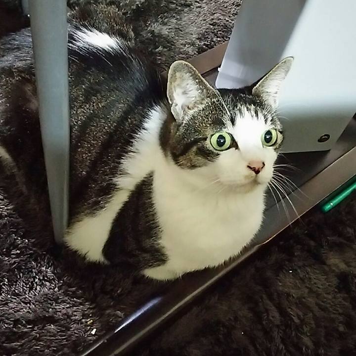 18762889 a9c0 4892 877f 60dcc73c6f46