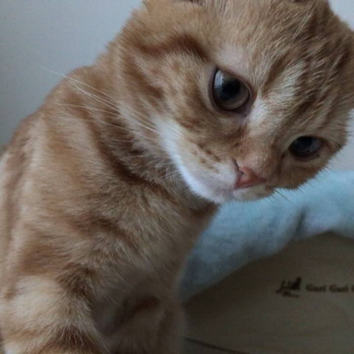 18765892 8816 4700 a46f 28fb42a67117