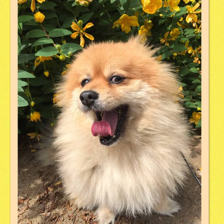 1876a3af b273 4d0c 9b30 bf1fb1395218