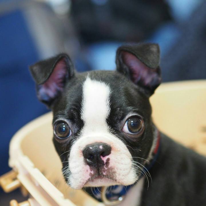 1877b918 b8dd 47fe 8401 0ffd68b06f97