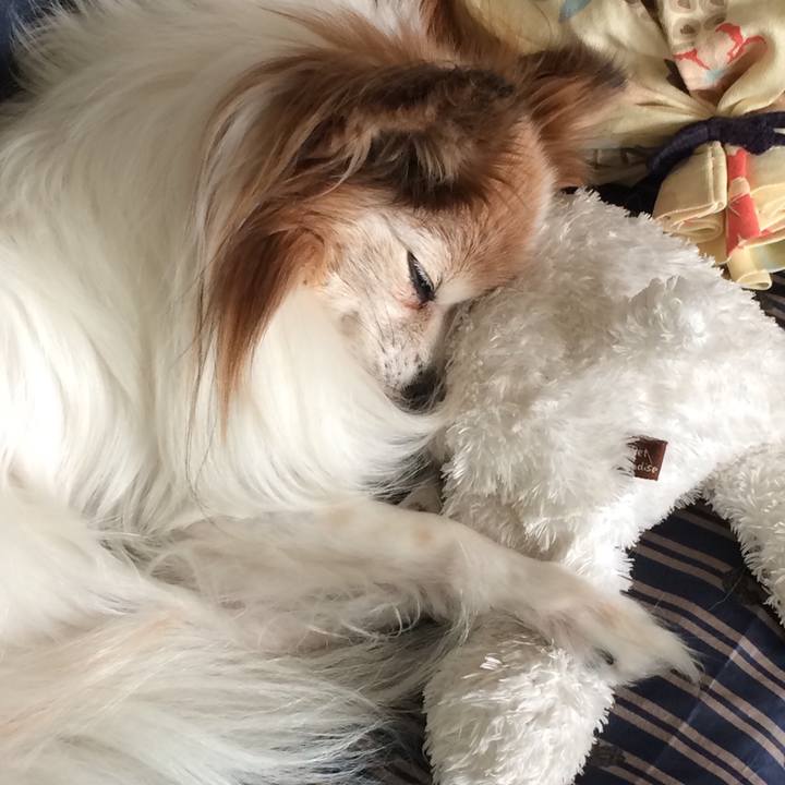 18784a62 db40 4f63 899e 53151a55e3d7