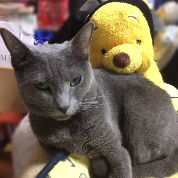 18794299 b19c 4d13 822d b5501687df2f