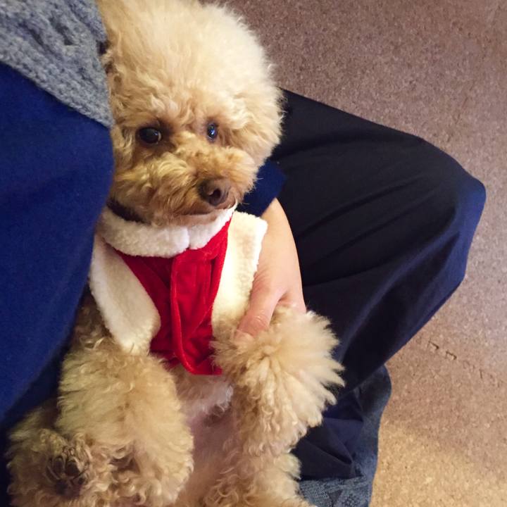 18794306 bcdc 4904 9053 c0ada9608ee2