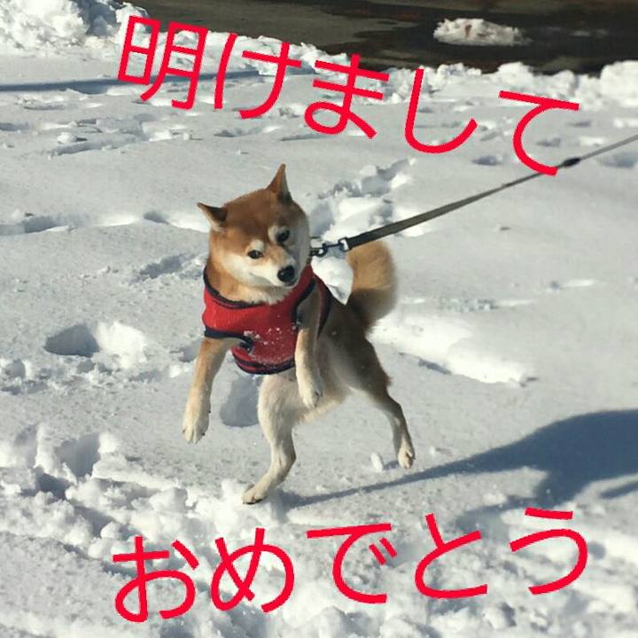 187991bd 602f 43b0 a2c6 5147142624e5